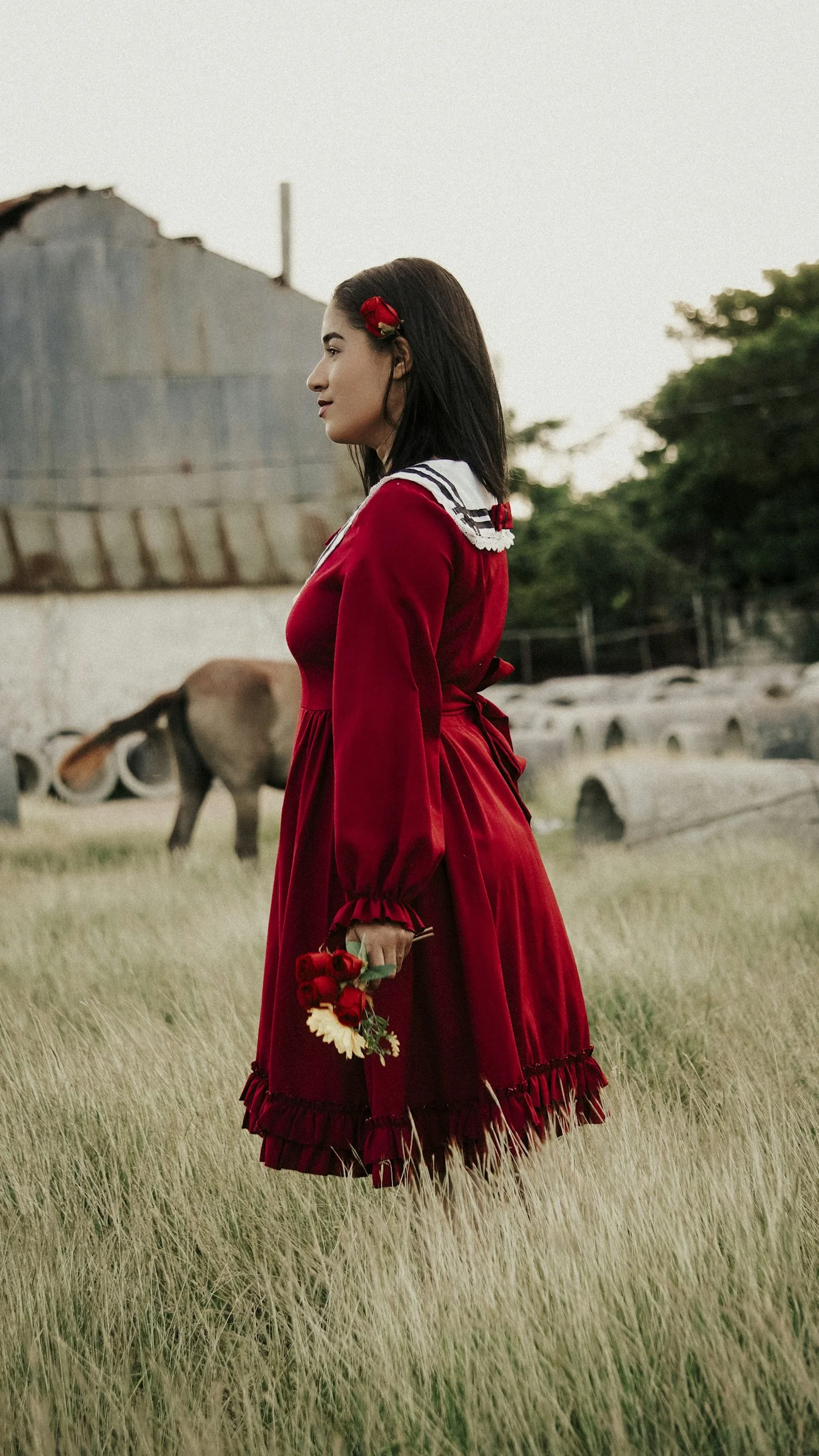 一位身穿红裙的女人站在田野中