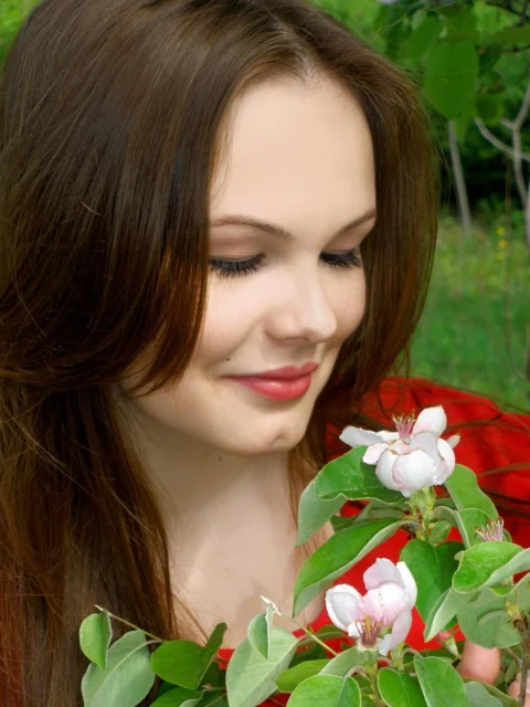 flowers, spring, beauty, nature