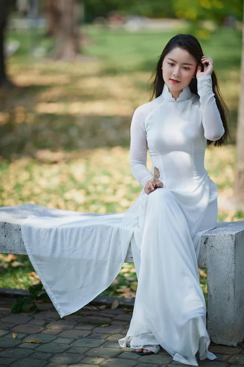 女性, モデル, ポートレート, アオザイ