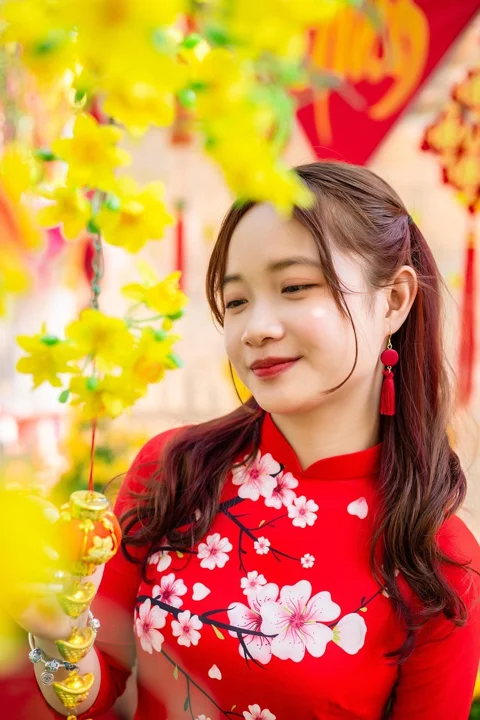 女性, 亞洲, 奧黛, 越南