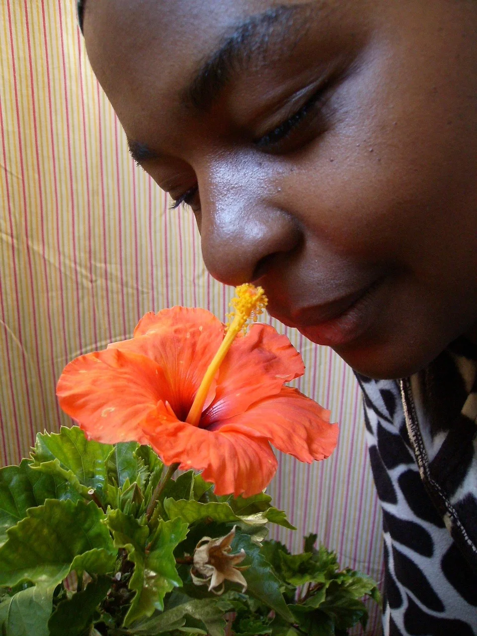 ebony, woman, flower
