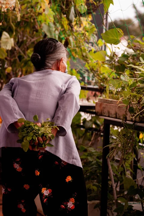 old woman, harvest, vegetable, old