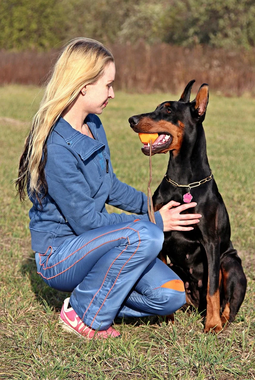 doberman, blonde woman, love, friendship