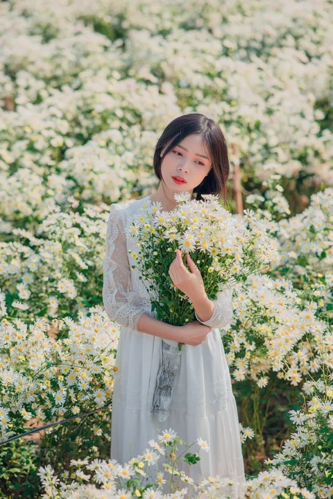 woman, flowers, chrysanthemums, field