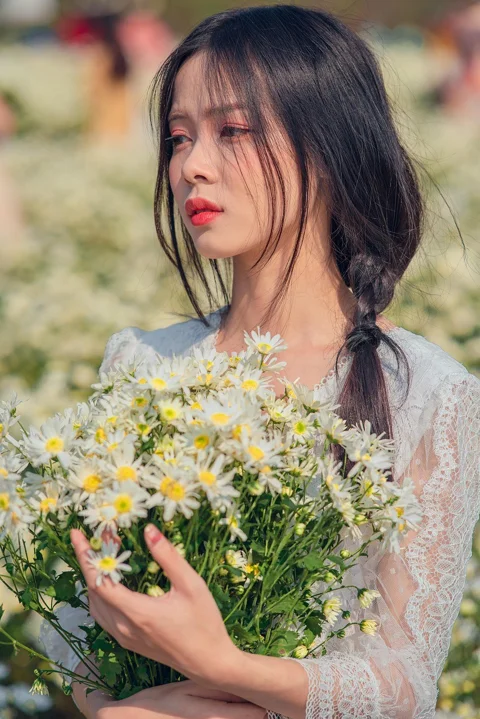woman, flowers, chrysanthemums, field