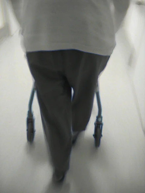 rollatator, walking car, civilian service, self employment