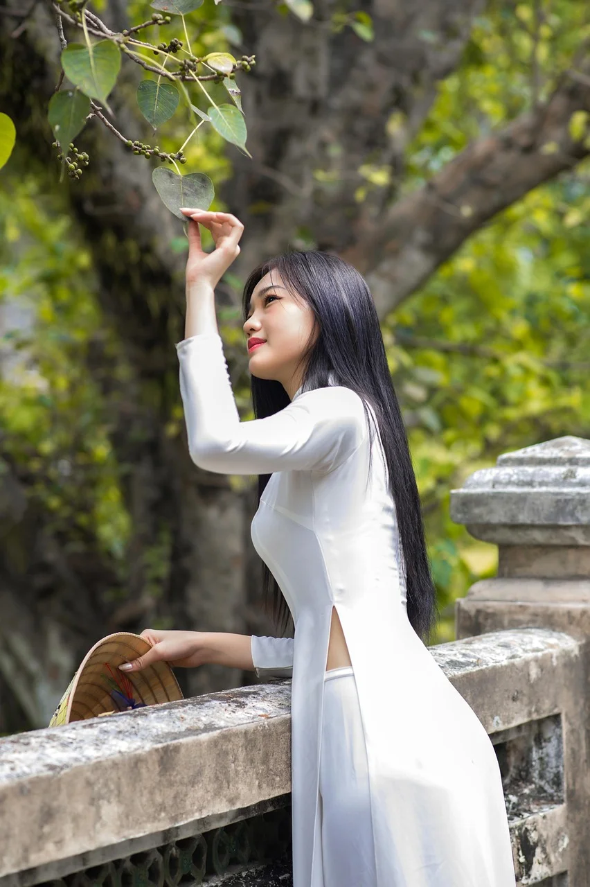 ao dai, dress, vietnamese, saigon
