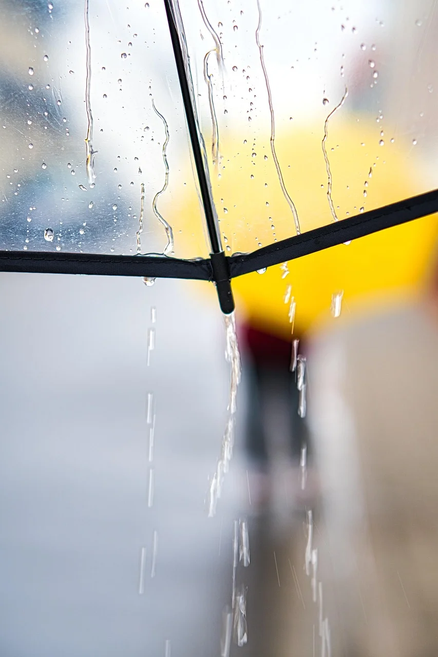 rainy day, umbrella, walk, rain
