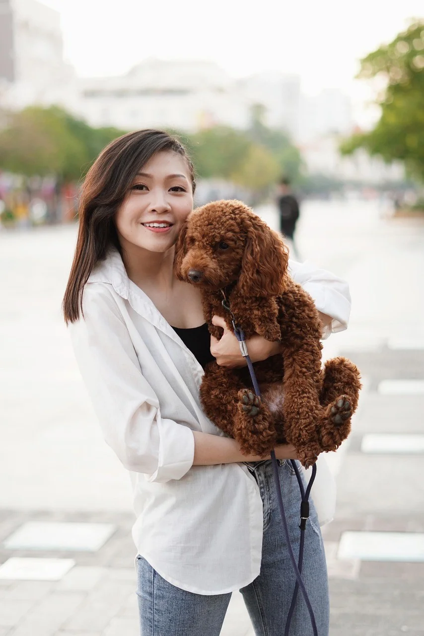 woman, model, portrait, pose