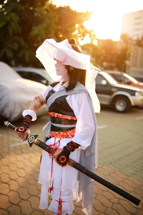 ninja, hero, samurai, cosplay