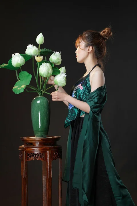亚洲女性, 越南, 莲花, 河内