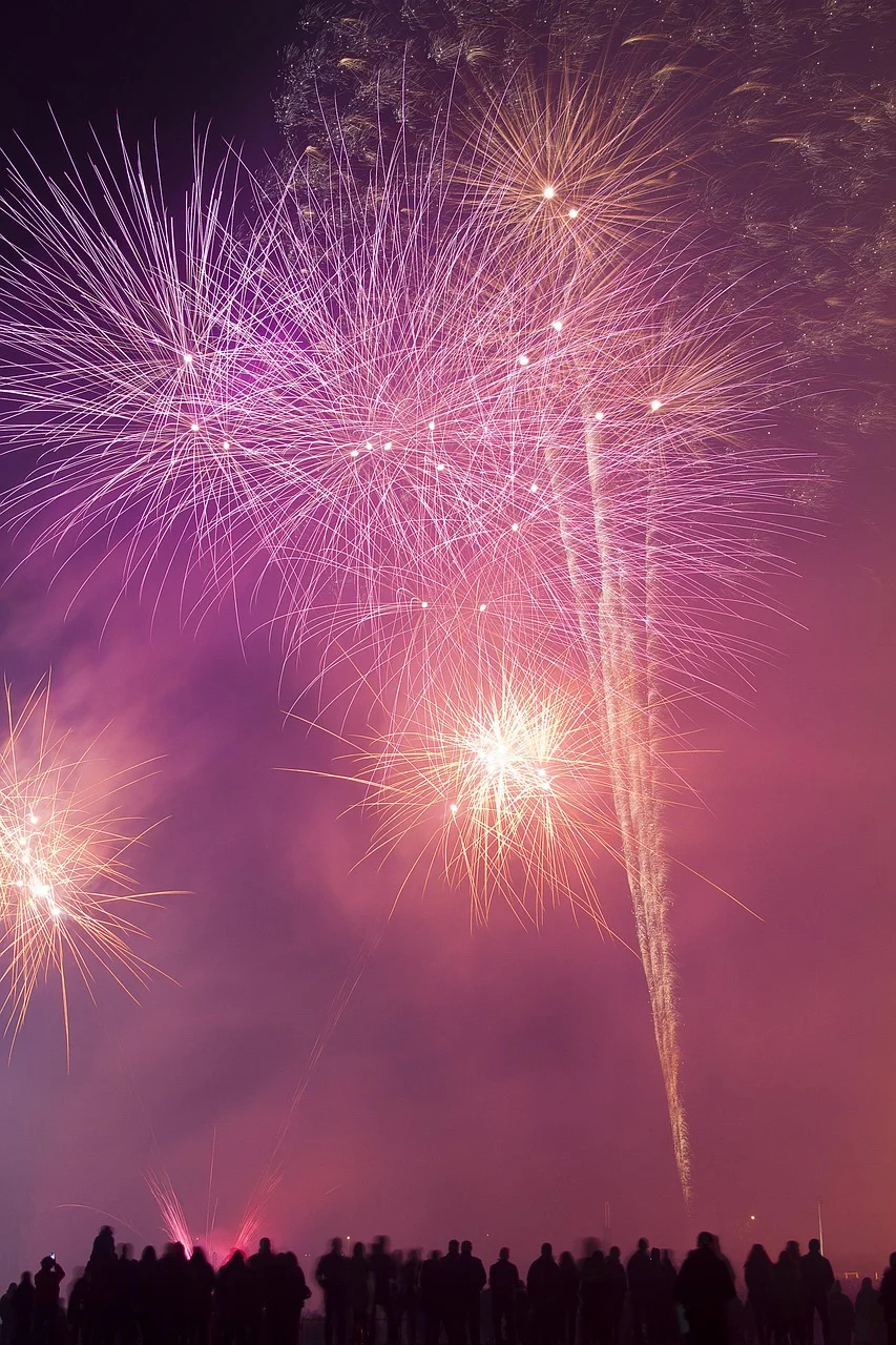 fireworks, display, pyrotechnics, people