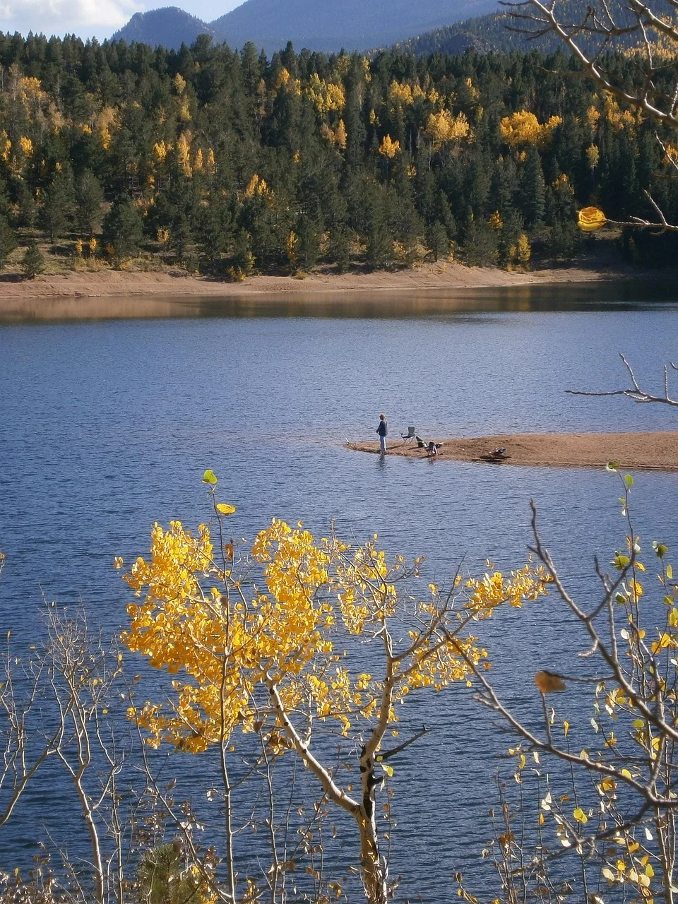 fishing, lake, trees, forest