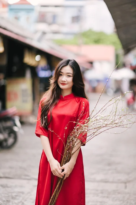 越南，奥黛，女人，肖像