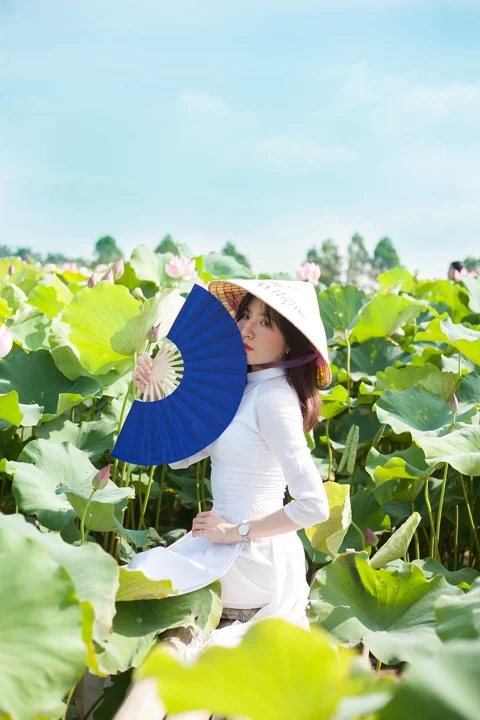 莲花, 女人, 美丽的女人, 漂亮的女人