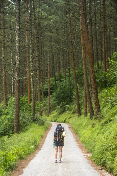 tourist, traveler, nature, woman