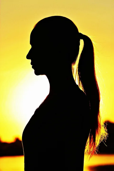 silhouette, shadow image, woman, plait