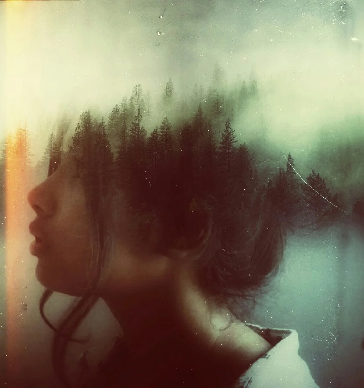 manipulation, photography, visual art, trees