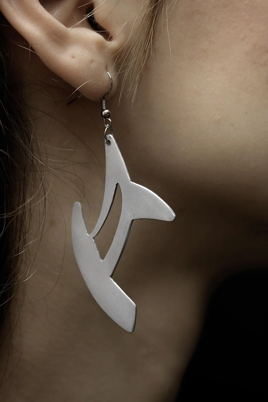 earring, gift of jewelry, daniel, silver