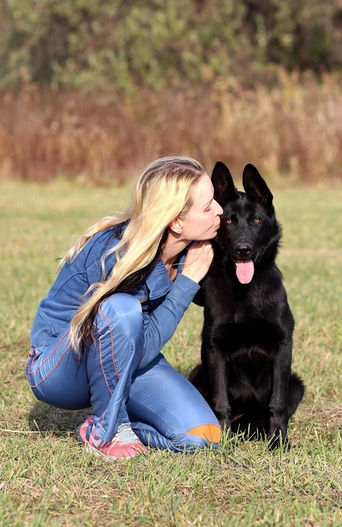 black german shepherd, blonde woman, love, friendship