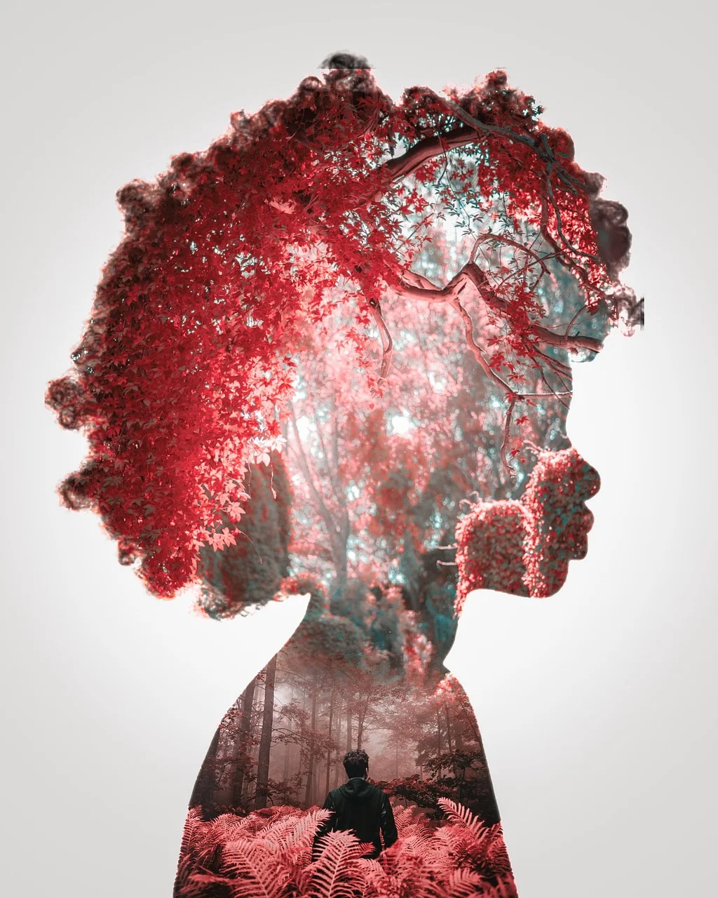 red, leaves, nature, photoshop fantasy