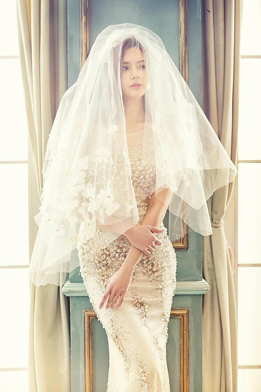 woman, gown, veil, model