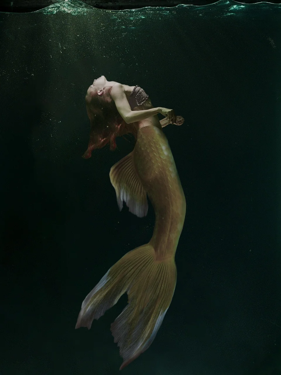 海妖, 魚, 美人魚, 幻想
