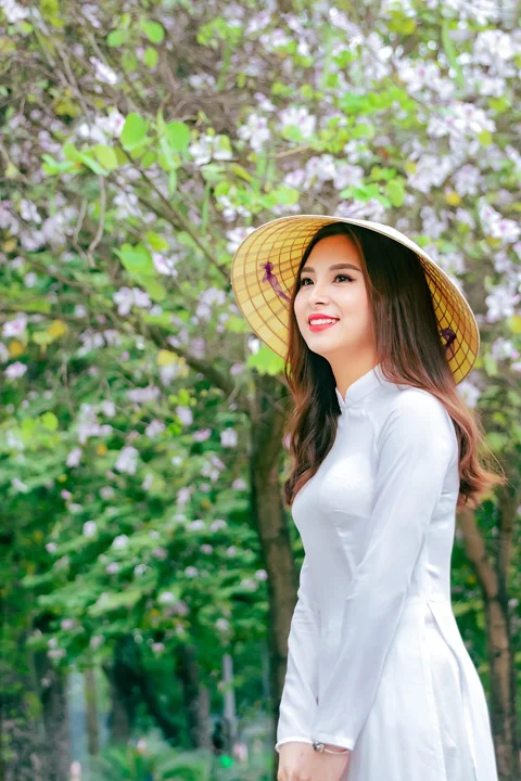 ao dai, fashion, woman, vietnamese