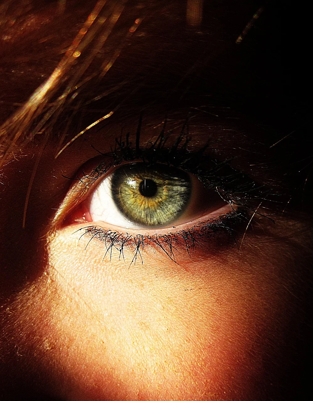 eye, colour, green, face