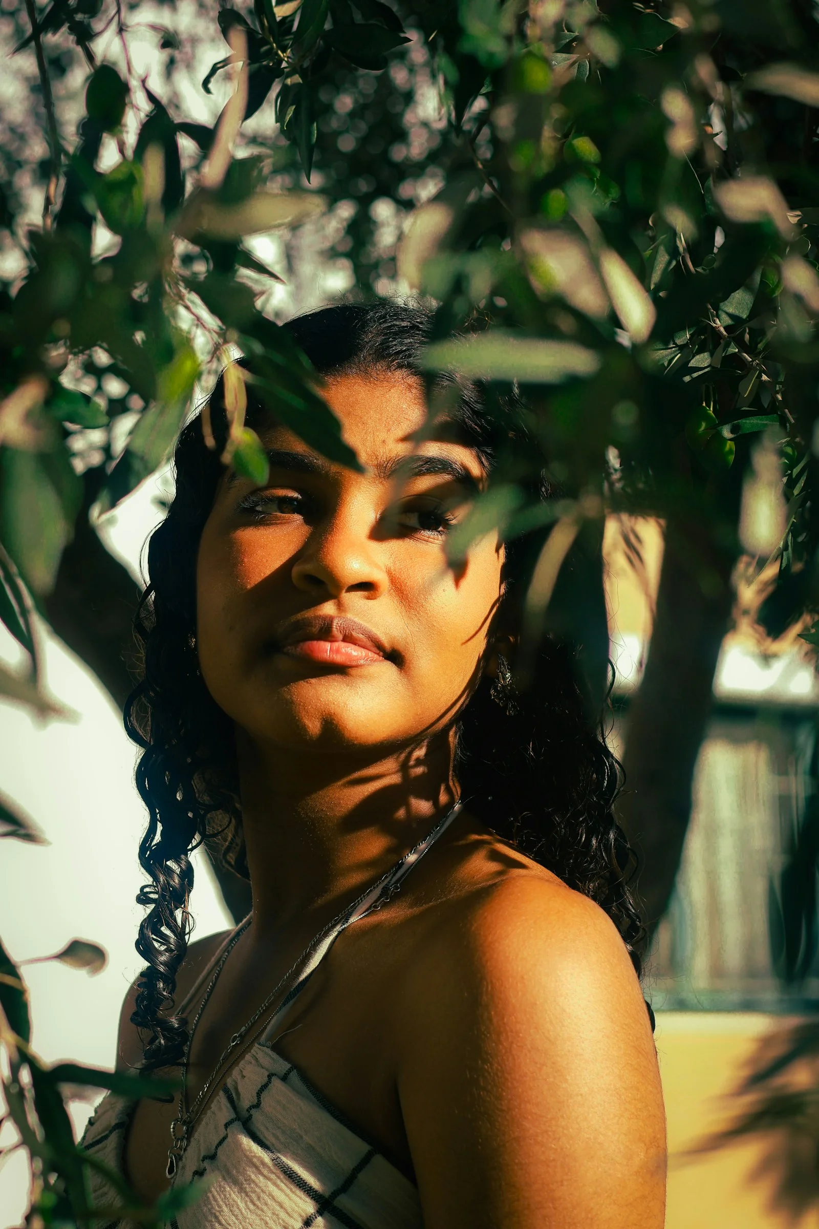 Young woman looking through olive tree branches