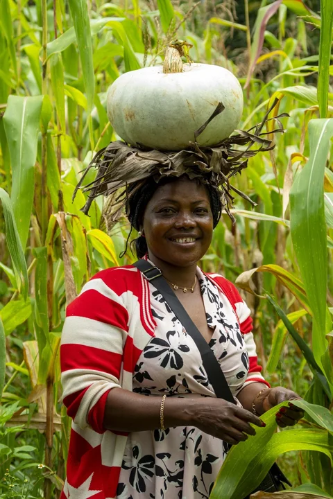 woman, corn field, african woman, nature