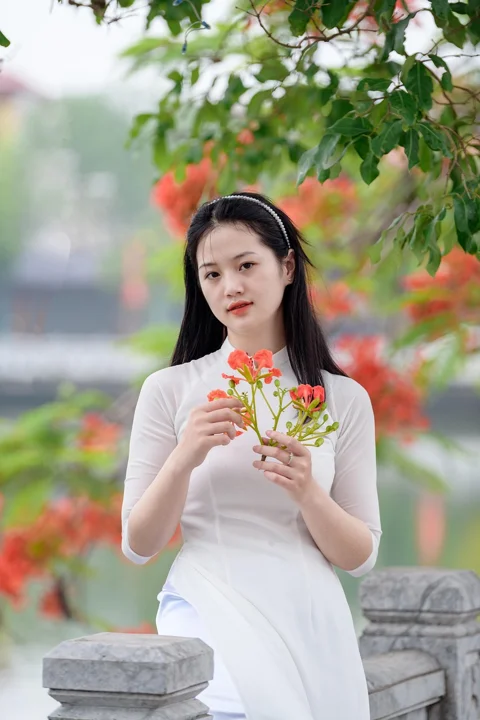 young, woman, pretty, nature
