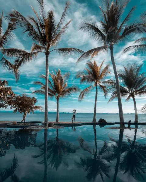 palm trees, heaven, beach, paradise