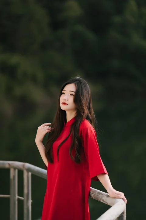 越南，奥黛，女人，肖像