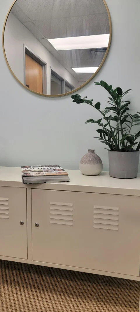 a white cabinet with a plant and a round mirror