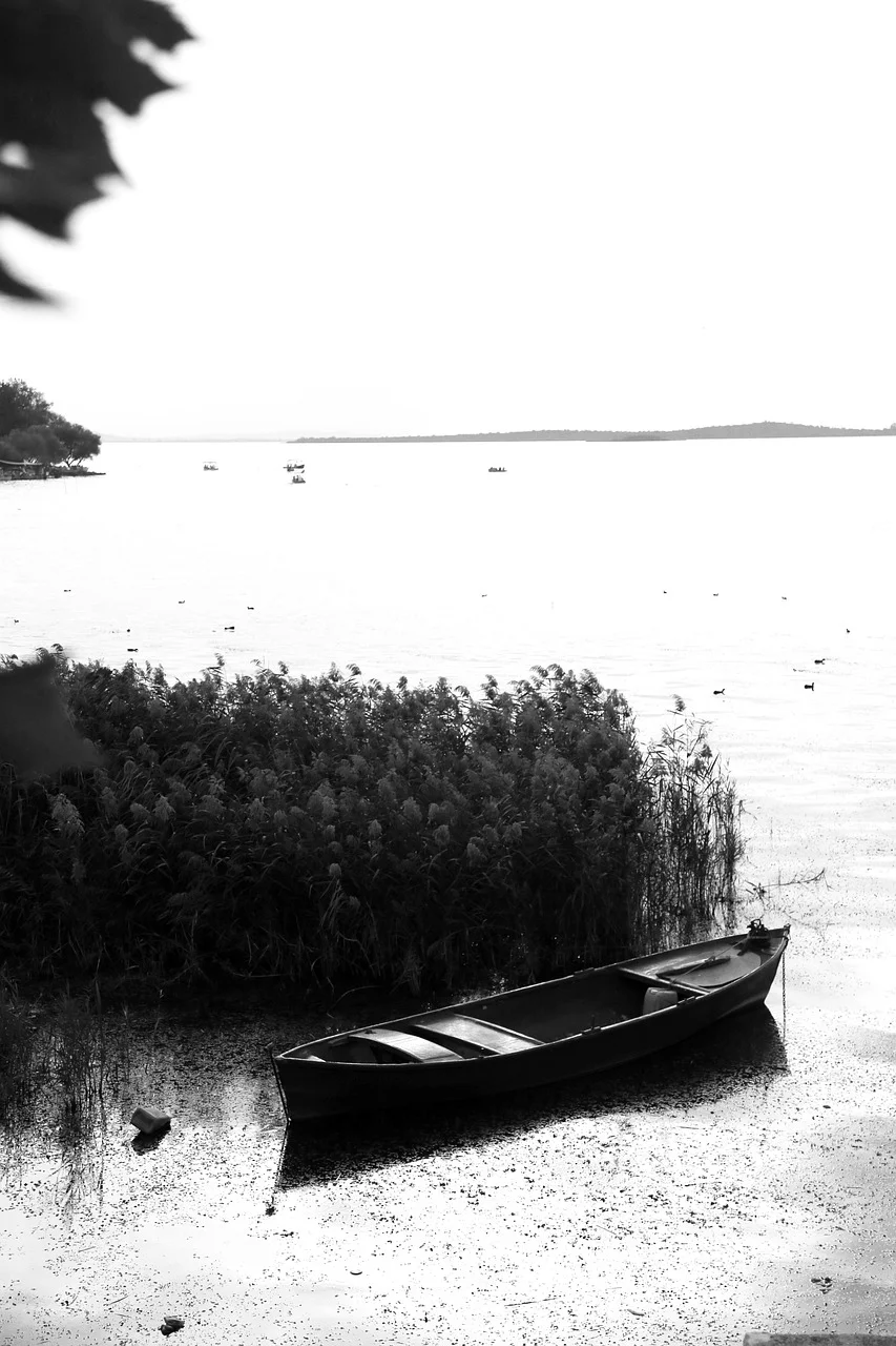coast, black white, woman, girl