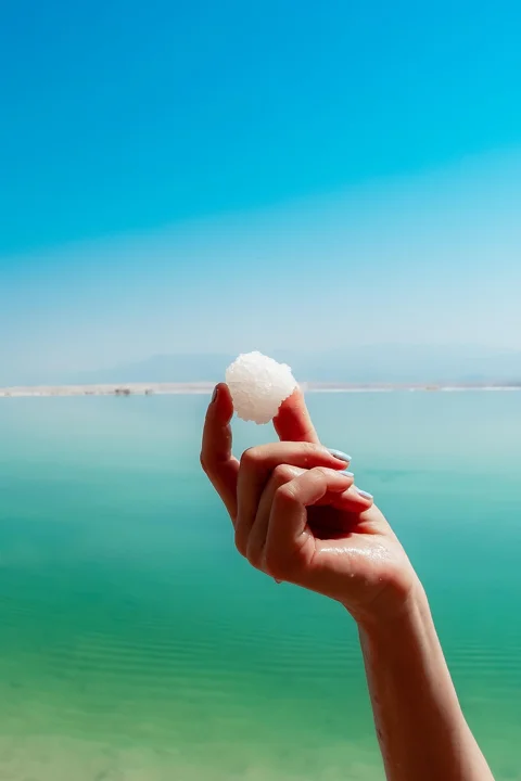 死海, 生物, 假期, 女生壁纸