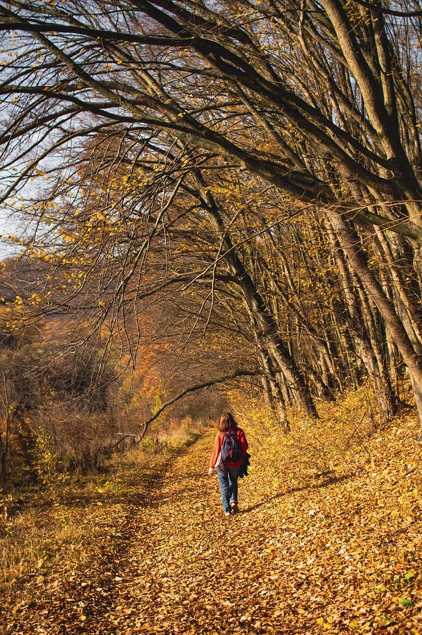 young woman, stroll, autumn, forest
