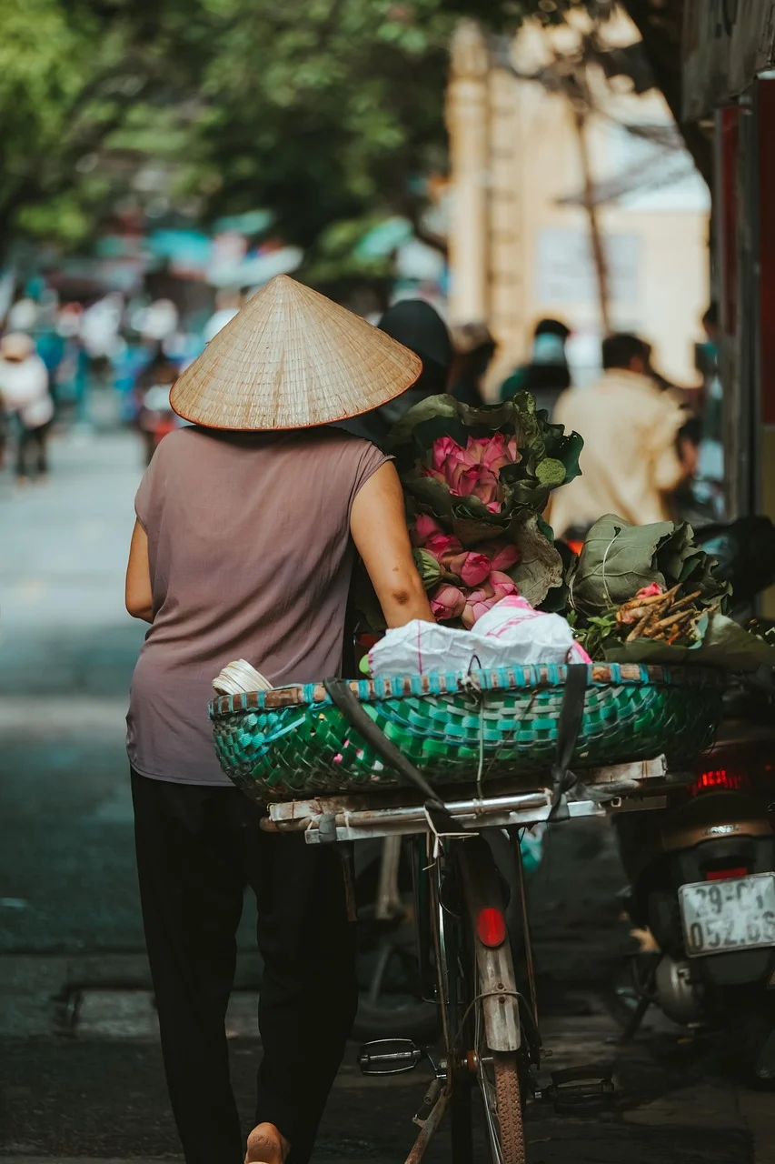 女人, 自行車, 街頭, 越南