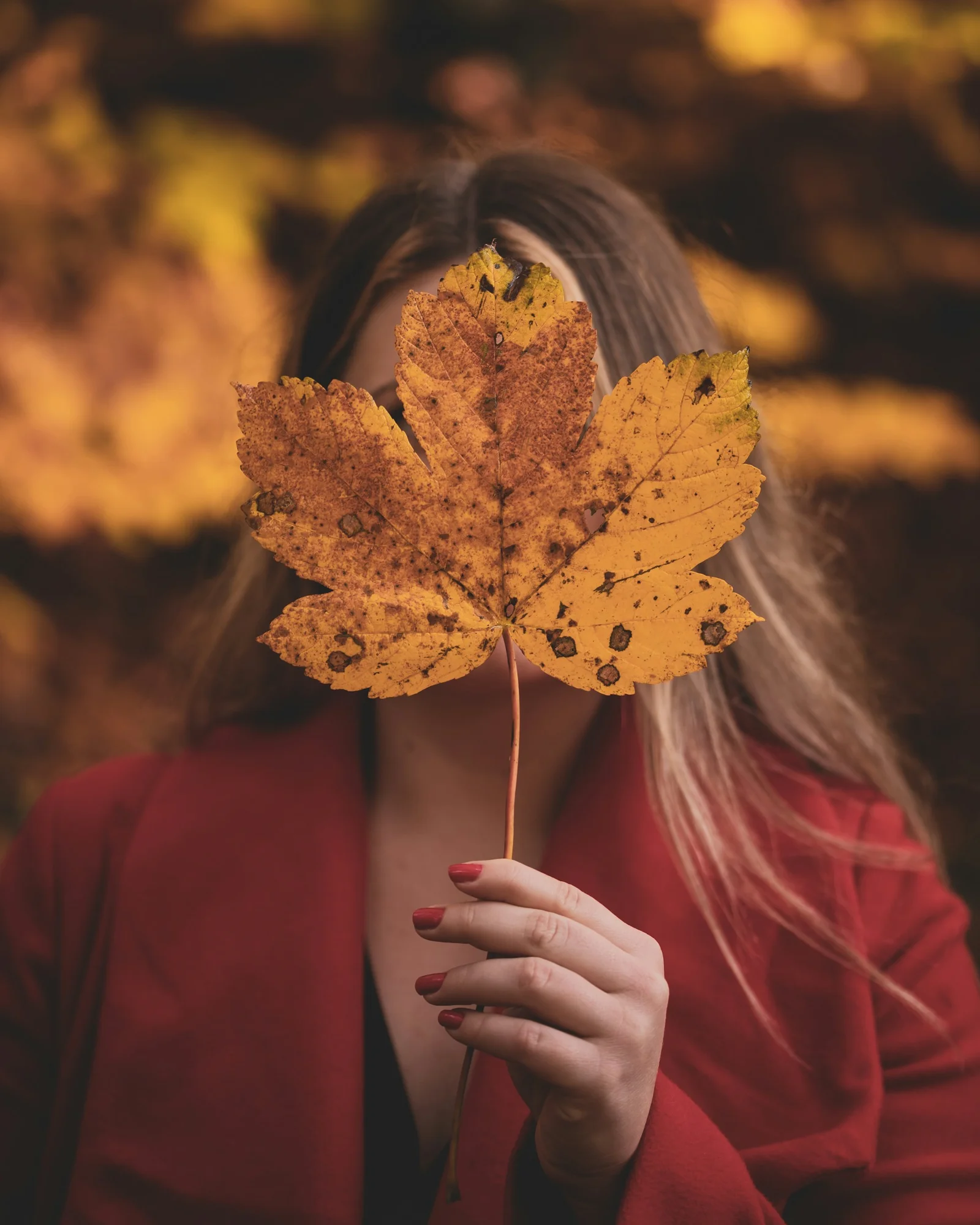 穿紅色長袖襯衫的女性手拿黃色楓葉