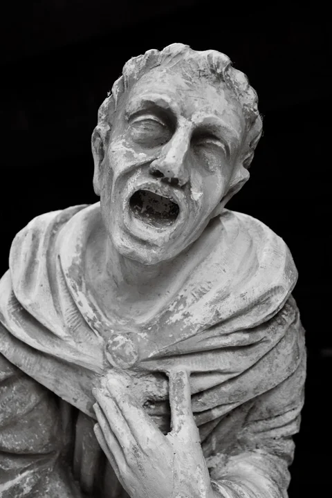 cry, fear, despair, pain