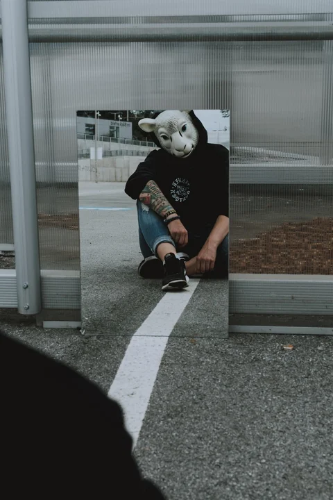 sheep, sheep mask, mirrors, reflection