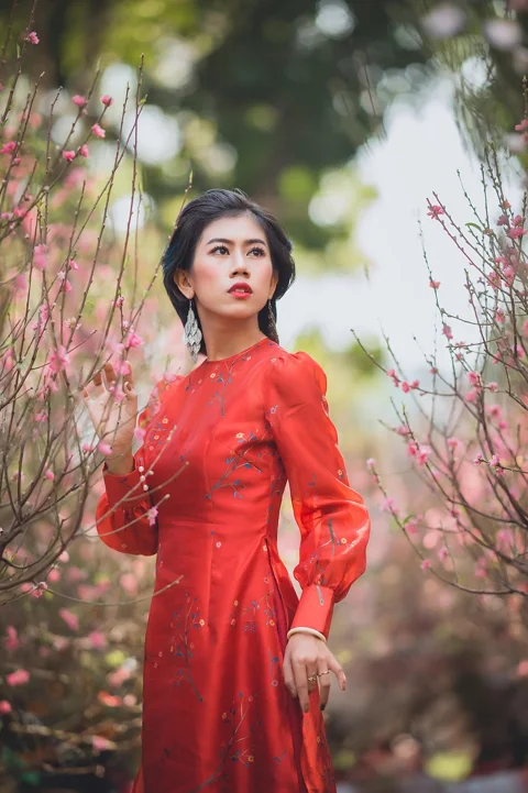 woman, model, portrait, dress