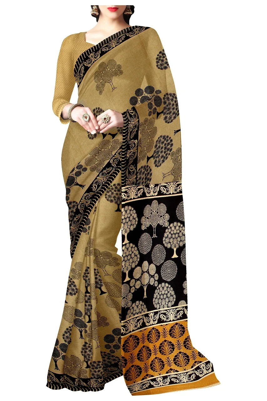 saree, indian, ethnic, clothing