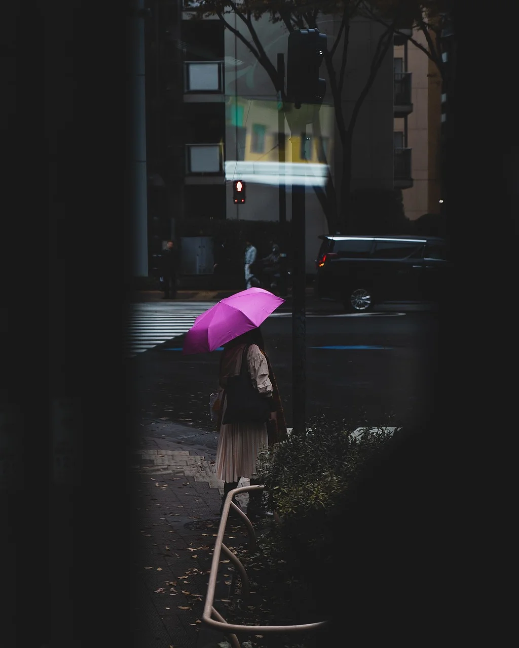 女子, 雨傘, 街道, 天氣