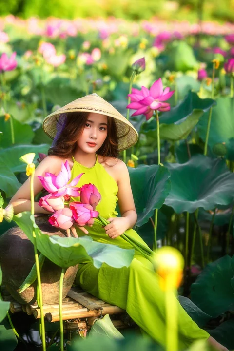 woman, lotus, beauty, model