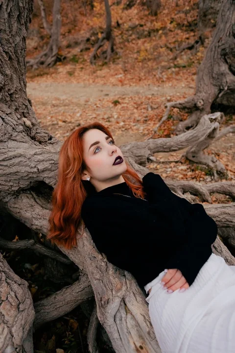 autumn, nature, fall, leaves