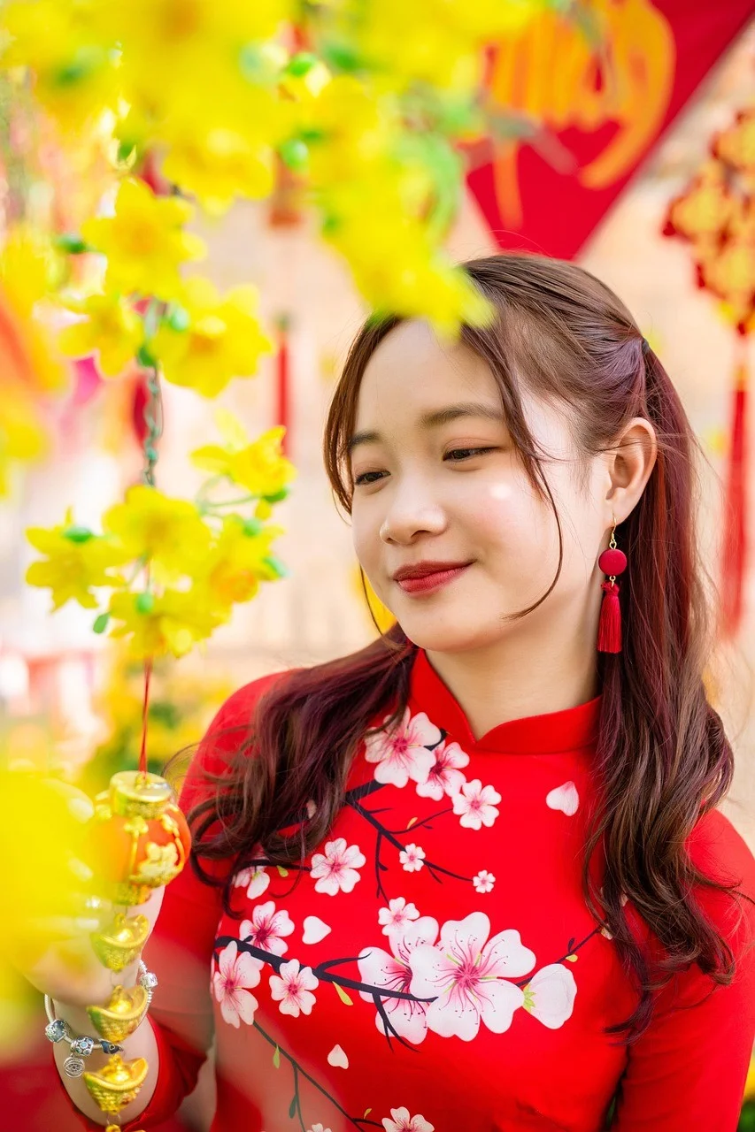 女性, 亞洲, 奧黛, 越南