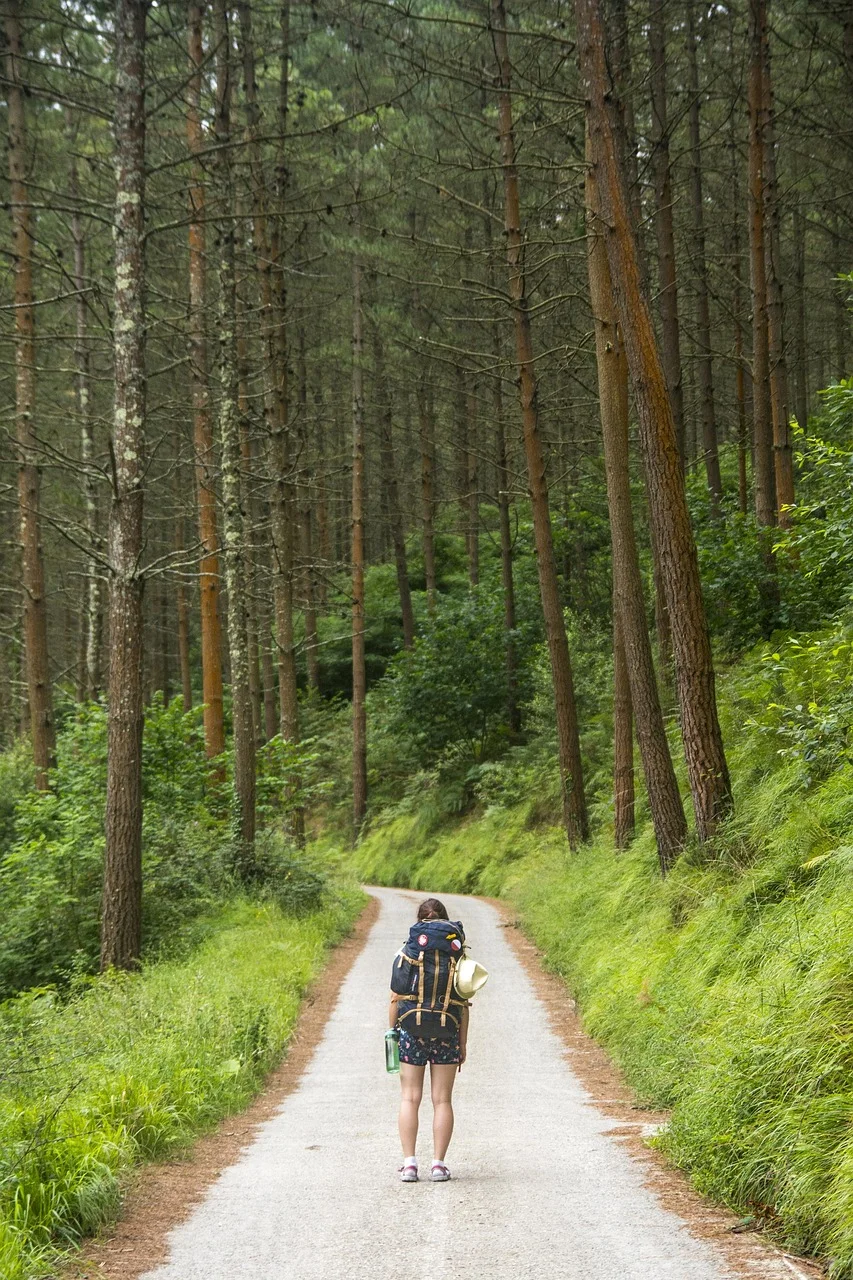 tourist, traveler, nature, woman