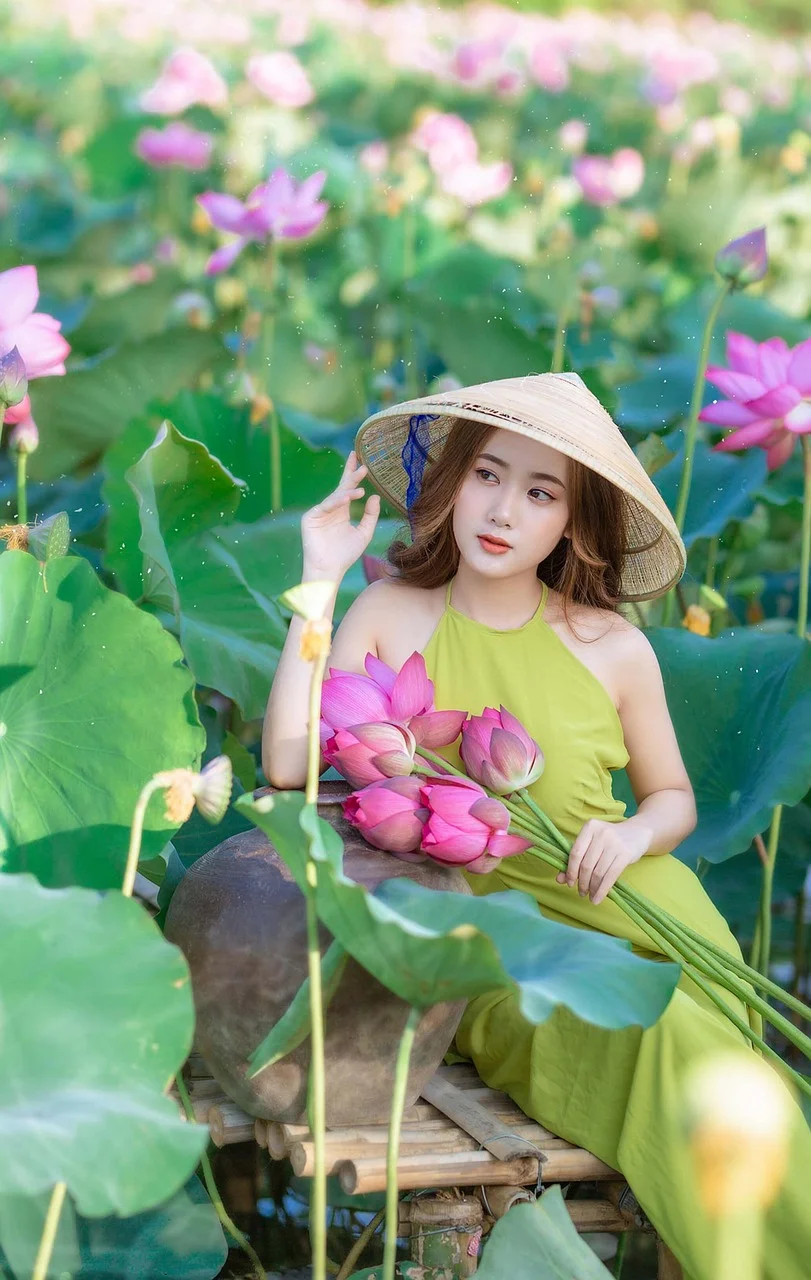 woman, lotus, pond, water lilies